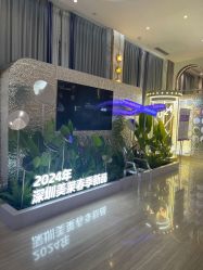 -深圳美莱医疗美容医院