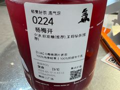 杨梅开-喧闹·东方大气茶(鹅岭二厂店)