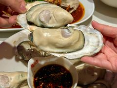 -杨氏青龙虾·羊蝎子(托乐嘉店)