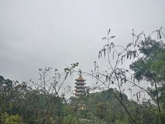 -白云山风景名胜区