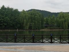 -上方山森林动物世界