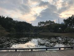 -云溪植物园