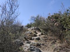 -北京鹫峰国家森林公园