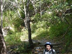 -云岫谷自然风景区