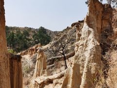 -元谋土林景区(物茂土林)