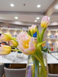 -酉嘉瑜伽YO+YOGA