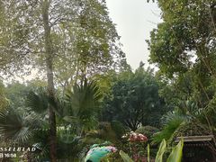 -海兰云天度假区温泉