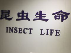 -上海昆虫博物馆