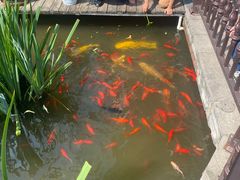 -聚缘堂·海鲜私房菜(松岭路店)