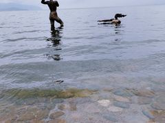 -南诏风情岛