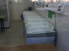 -星星奶冰·汤圆(王串场店)