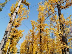 -两江幸福广场