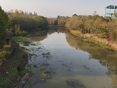 -上海海湾国家森林公园