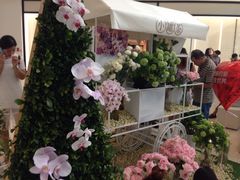 -小罐茶(济南恒隆广场店)