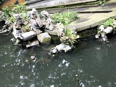 -普陀山风景名胜区-法雨禅寺