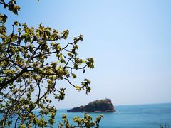-棒棰岛宾馆景区