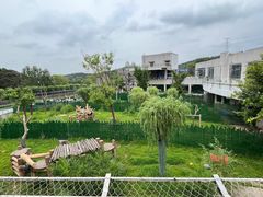 -沈阳森林动物园