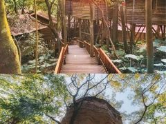 -天门沟九州驿站树上汤泉