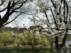 -贵阳市花溪国家城市湿地公园