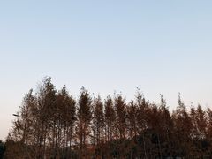 -上海山野camping·户外天幕烧烤·团建拓展营地