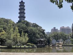-江心屿景区