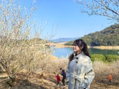 -广州市流溪河国家森林公园