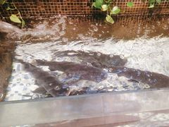 -黄泥岗·地道湖北菜(奥特莱斯店)