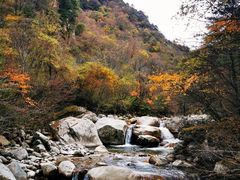 -青峰峡国家森林公园