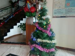 -风雅老树咖啡(清远店)