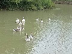 -艾溪湖湿地公园