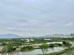 -三垟湿地
