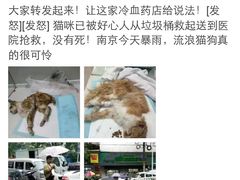 盛京一禾-盛京一禾