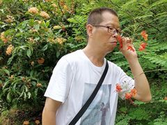 -西双版纳原始森林公园