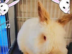 -小意思咖啡店(草桥店)