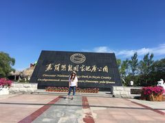 -嘉荫恐龙国家地质公园