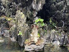 -宝墨园景区