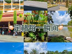 -东芭乐园
