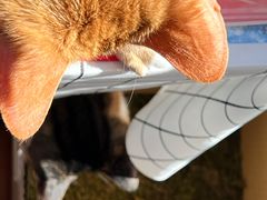 -新荟城(望京店)