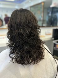 -镁连社·美联社