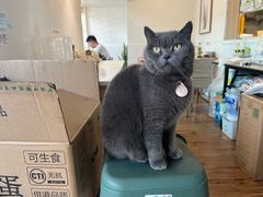 -春笙食堂.丼饭拉面寿司(GOGO新天地店)