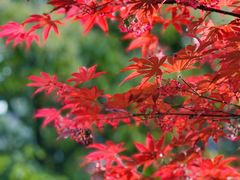 -浙江农林大学(东湖校区)