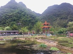 -靖西鹅泉风景区