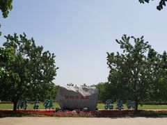 -御林古桑园