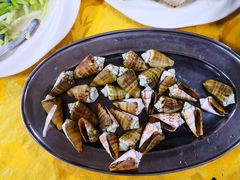 芒果螺-板桥海鲜广场(文明东店)