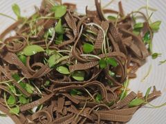 -紫光园·烤鸭(吕家营店)