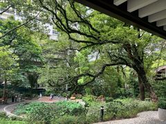 -香港大学