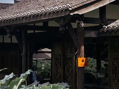 -莫催咖啡