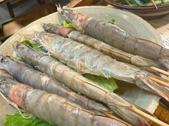 -阳阳老火锅(小南门店)