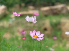 -遵化汤泉宫度假村温泉