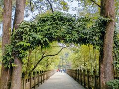 -南山植物园